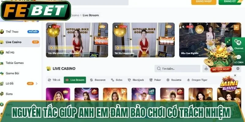 Các nguyên tắc giúp anh em đảm bảo chơi có trách nhiệm 