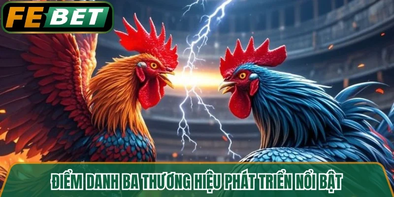 Điểm danh ba thương hiệu phát triển nổi bật