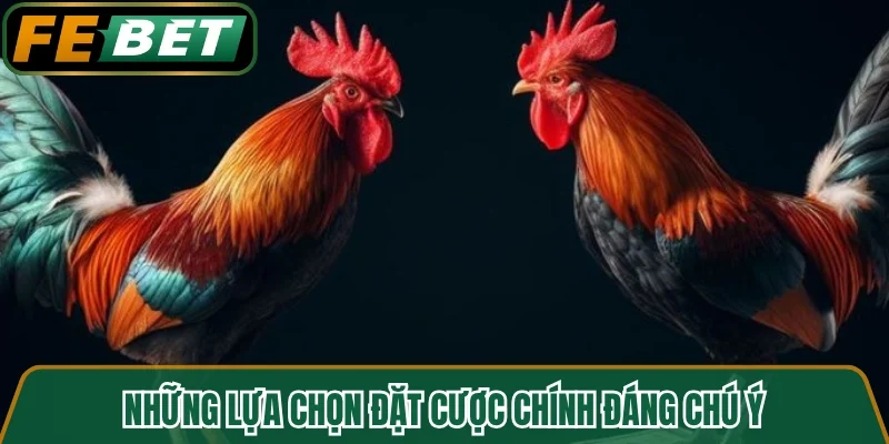 Những lựa chọn đặt cược chính đáng chú ý