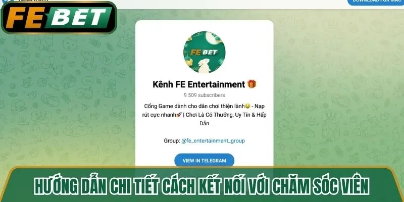 Hướng dẫn chi tiết cách kết nối với chăm sóc viên
