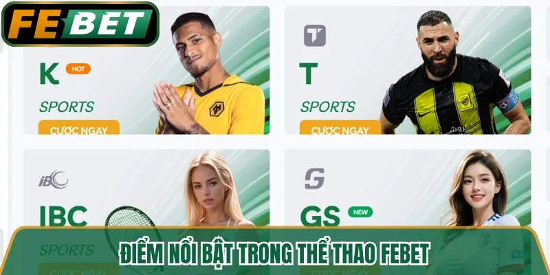 Điểm nổi bật trong thể thao FEBET